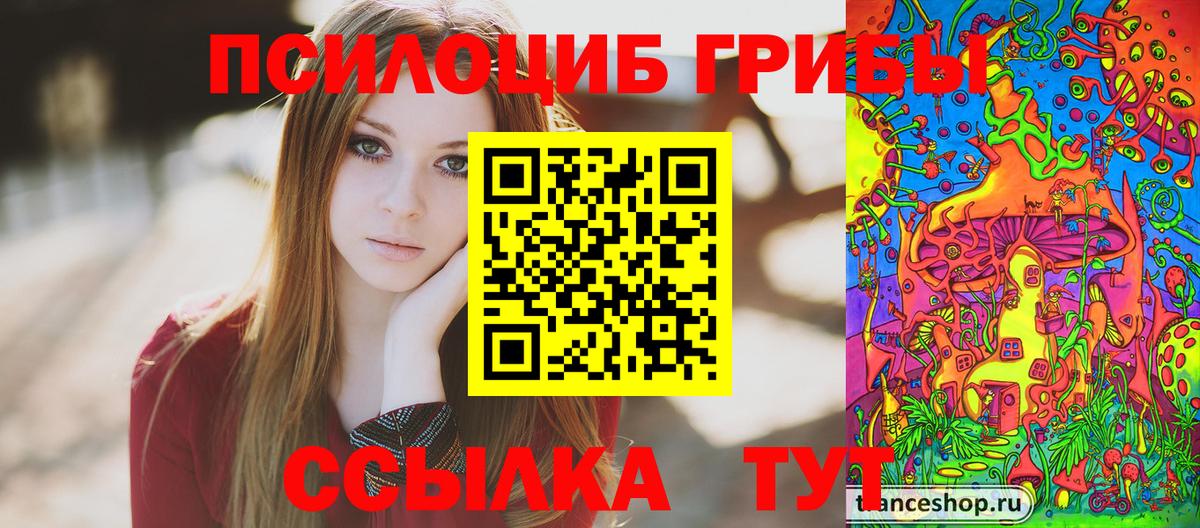 купить  цена  Псилоцибиновые грибы мицелий  Горно-Алтайск  Вход с VPN  Галлюциногенные грибы GOLDEN TEACHER 