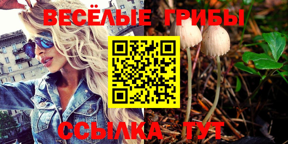 Галлюциногенные грибы Magic Shrooms Горно-Алтайск