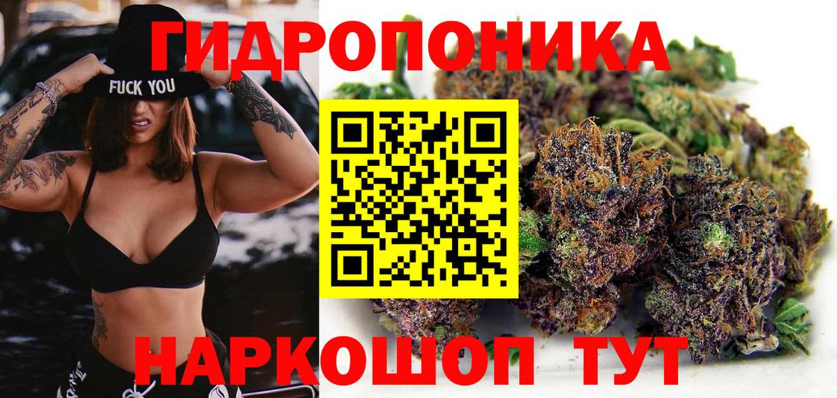 Конопля конопля Горно-Алтайск